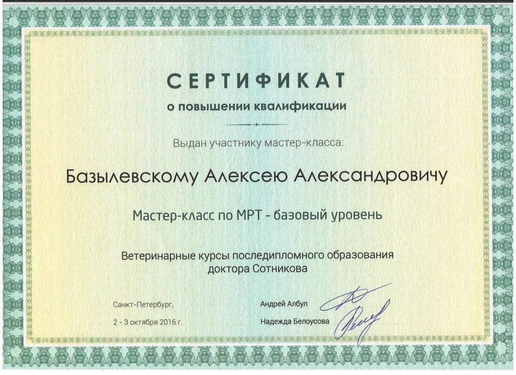 sertifikat-bazylevskogo-a-a-mk-po-mrt-2016-1024x744 Базылевский Алексей Александрович