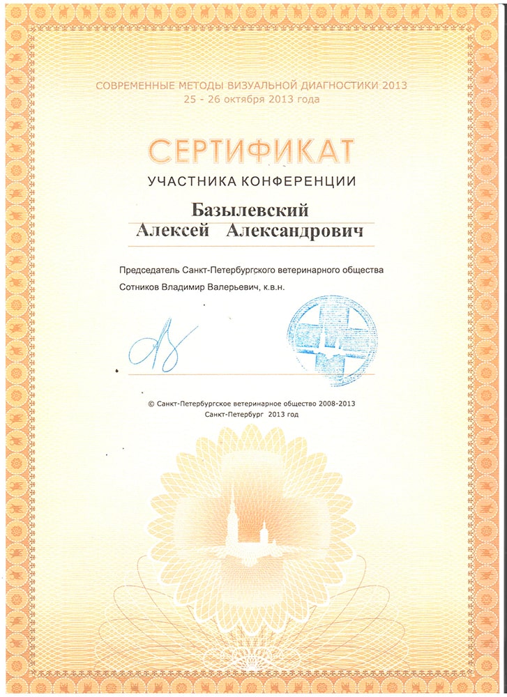 sertifikat-bazylevskogo-a-a-sovremennye-metody-vizualnoj-diagnostiki-2013 Базылевский Алексей Александрович