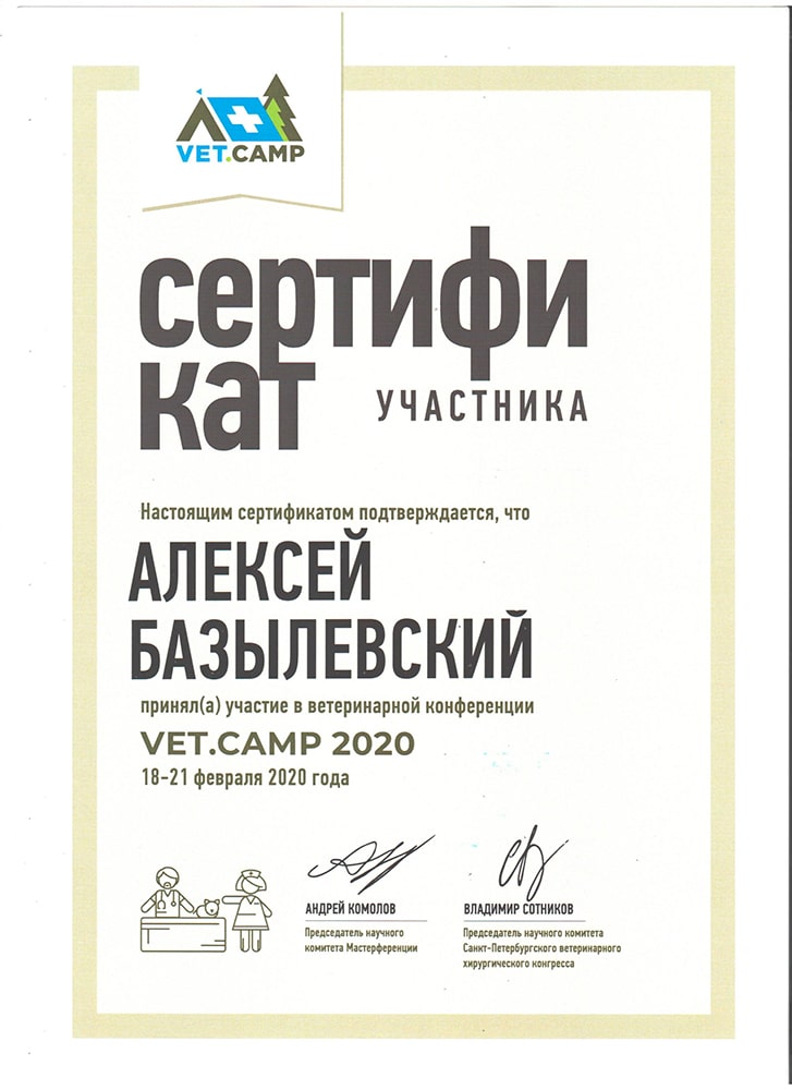 sertifikat-bazylevskogo-a-a-vet-camp-2020 Базылевский Алексей Александрович