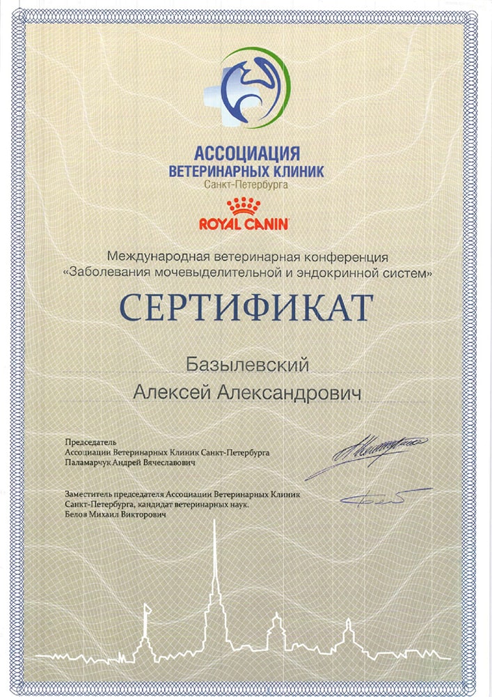 sertifikat-bazylevskogo-a-a-zabolevaniya-mochevydelitelnoj-i-endokrinnoj-sistem Базылевский Алексей Александрович