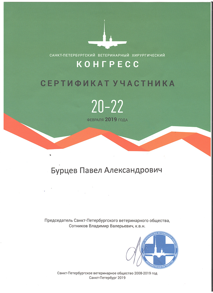 sertifikat-burceva-p-a-spb-veterinarnyj-hirurgicheskij-kongress Бурцев Павел Александрович
