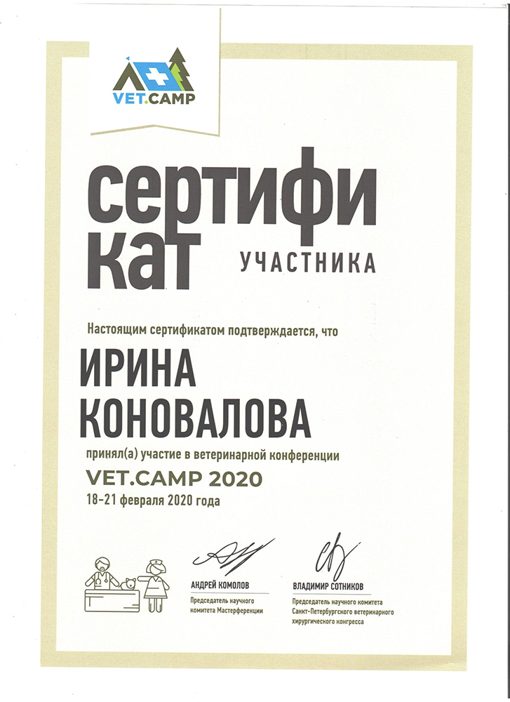 sertifikat-konovalovoj-i-v-vet-camp-2020 Коновалова Ирина Витальевна
