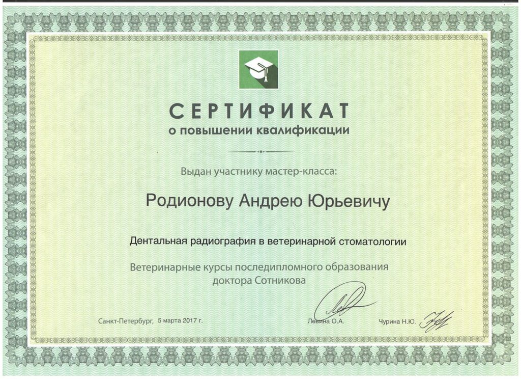 sertifikat-o-povyshenii-kvalifikacii-rodionova-a-yu-1024x744 Родионов Андрей Юрьевич