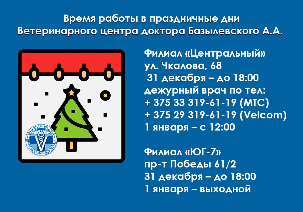  График работы Ветеринарного центра доктора Базылевского А.А. 31 декабря и 1 января.