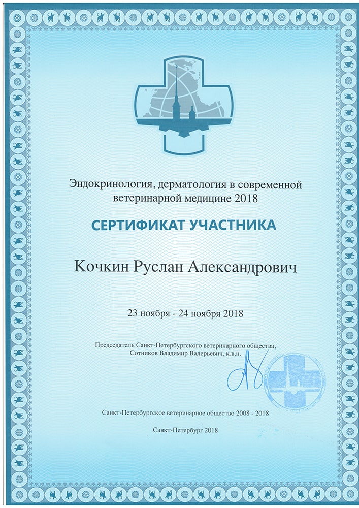 sertifikat-kochkin-r-a-endokrinologiya-dermatologiya-2018 Кочкин Руслан Александрович