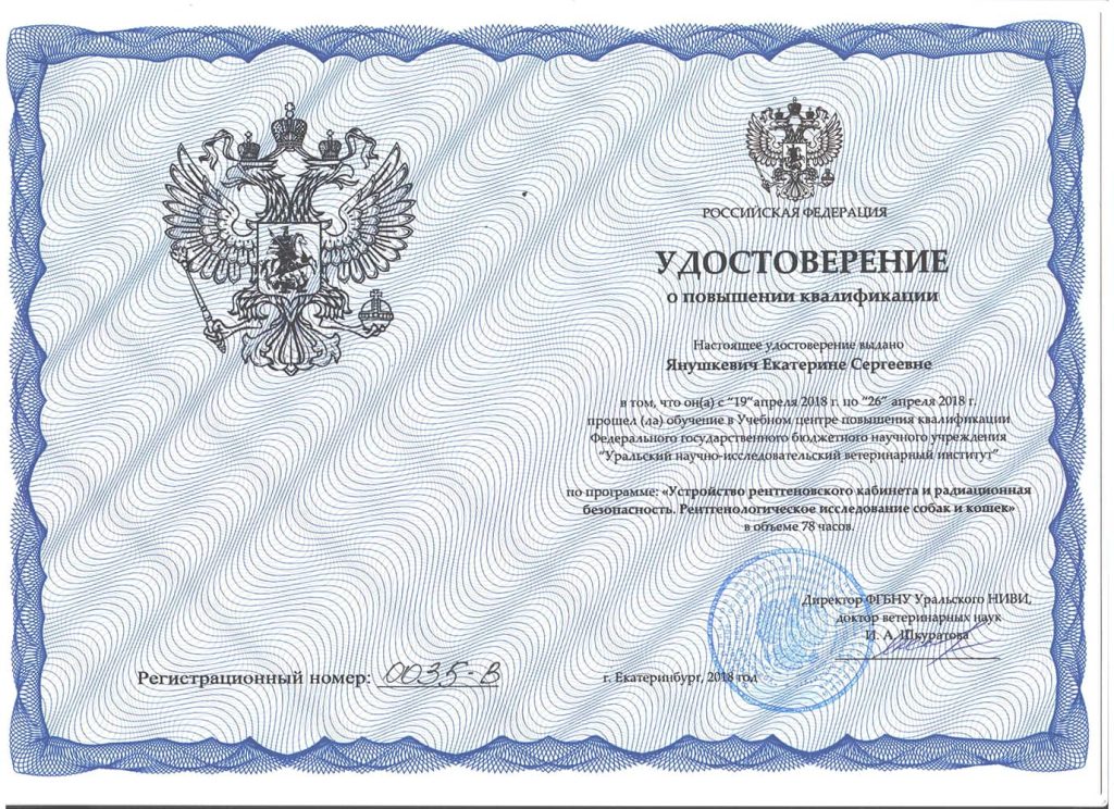 udostoverenie-o-povyshenii-kvalifikacii-yanushkevich-e-s-1024x744 Янушкевич Екатерина Сергеевна