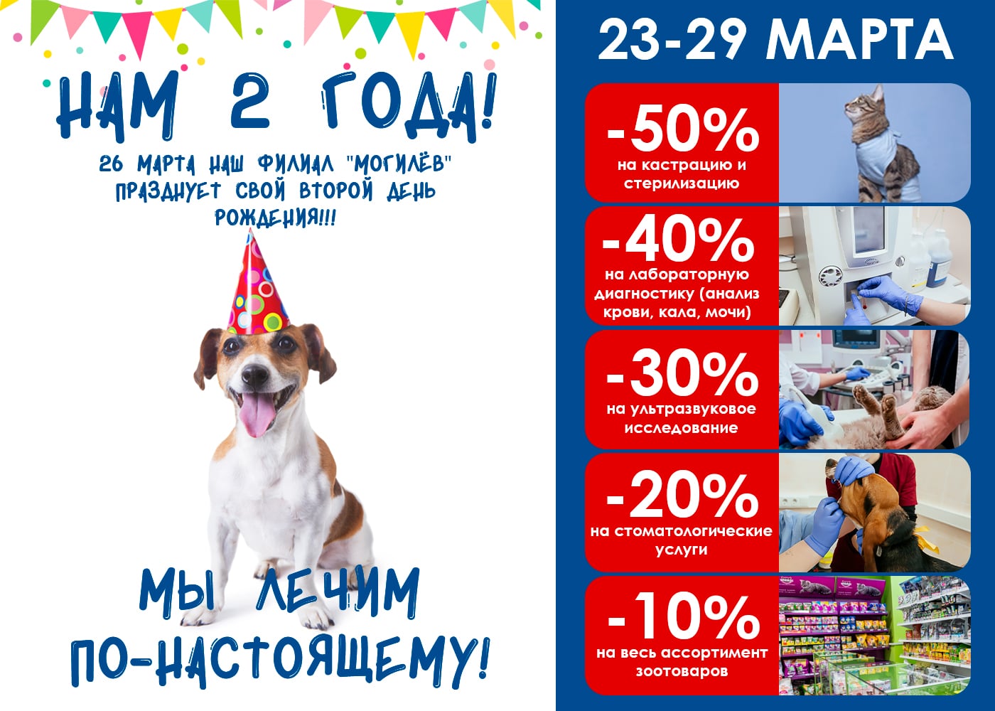 скидки на ветеринарные услуги в Могилеве к 2-х летию ветклиники