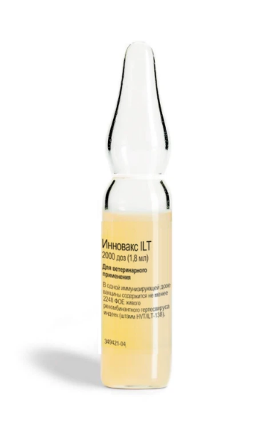 Screenshot_1-4 Инновакc ILT (Innovax® ILT)