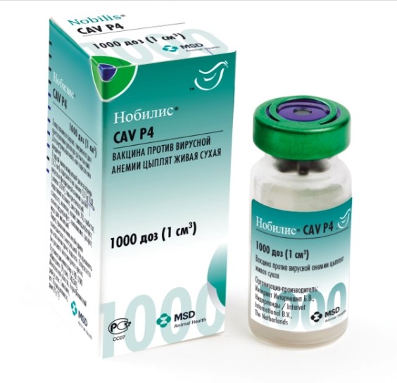 Screenshot_2-3 Нобилис® CAV P4 (Nobilis® CAV P4)