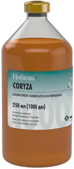 Screenshot_2-5 Нобилис® Coryza (Nobilis® Coryza)