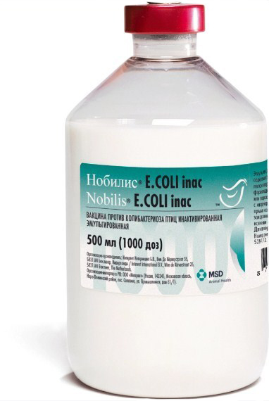 e.coli_ Нобилис® E.Coli inac (Nobilis® E.Coli inac)
