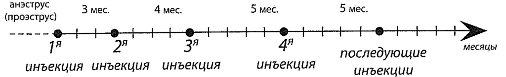 image-4-1024x157 Ковинан (Covinan)