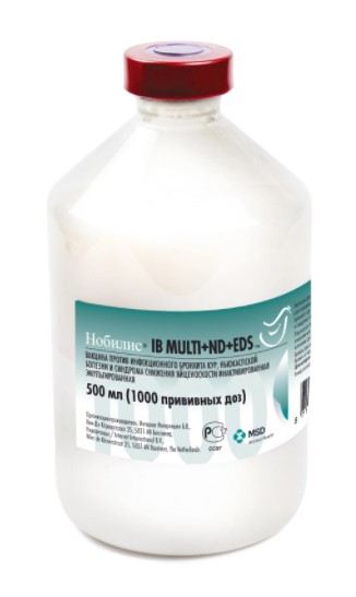 ibmulti Нобилис® IBmulti+ND+EDS (Nobilis® IBmulti+ND+EDS)
