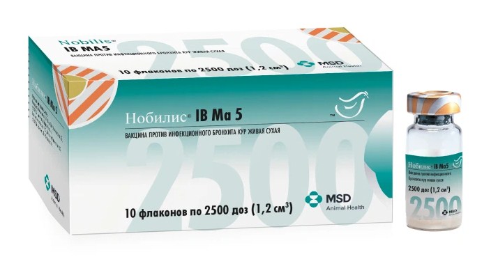 ma5 Нобилис® IB Ma5 (Nobilis® IB Ma5)