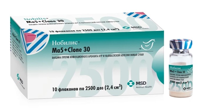 ma5clone Нобилис® Ma5+Clone 30 (Nobilis® Ma5+Clone 30)