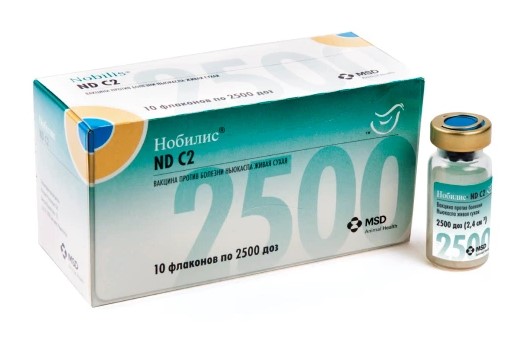 nd-c2-1 Нобилис® ND C2 (Nobilis® ND C2)