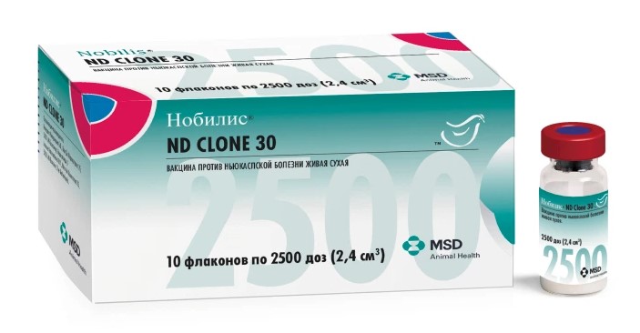 nd-clone-30-1 Нобилис® ND Clone 30 (Nobilis® ND Clone 30)