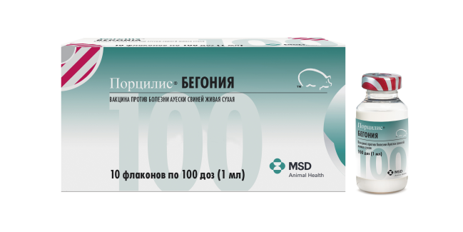 Порцилис® Бегония (Porcilis® Begonia)