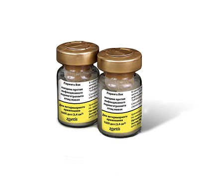 laringo-vaс Ларинго ВАК