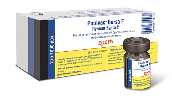 poulvac-bursa-f Пулвак Бурса А