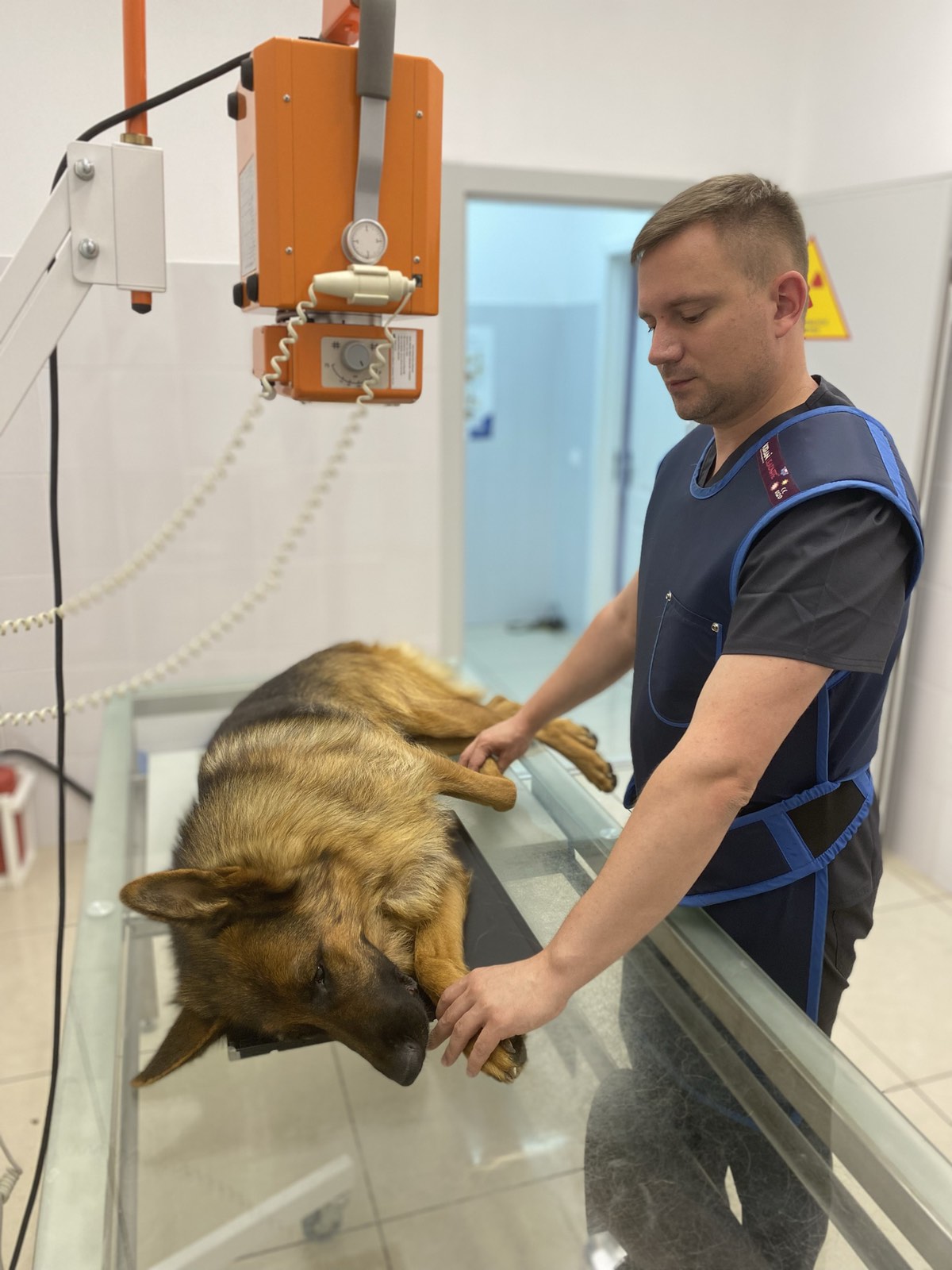 Ветклиника Белорусская