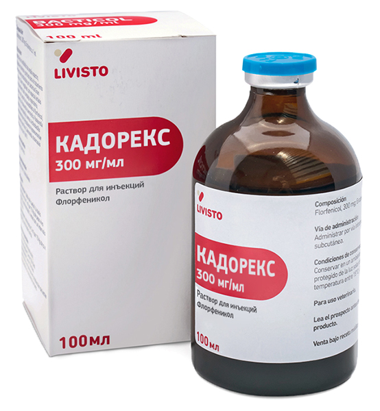 Кадорекс