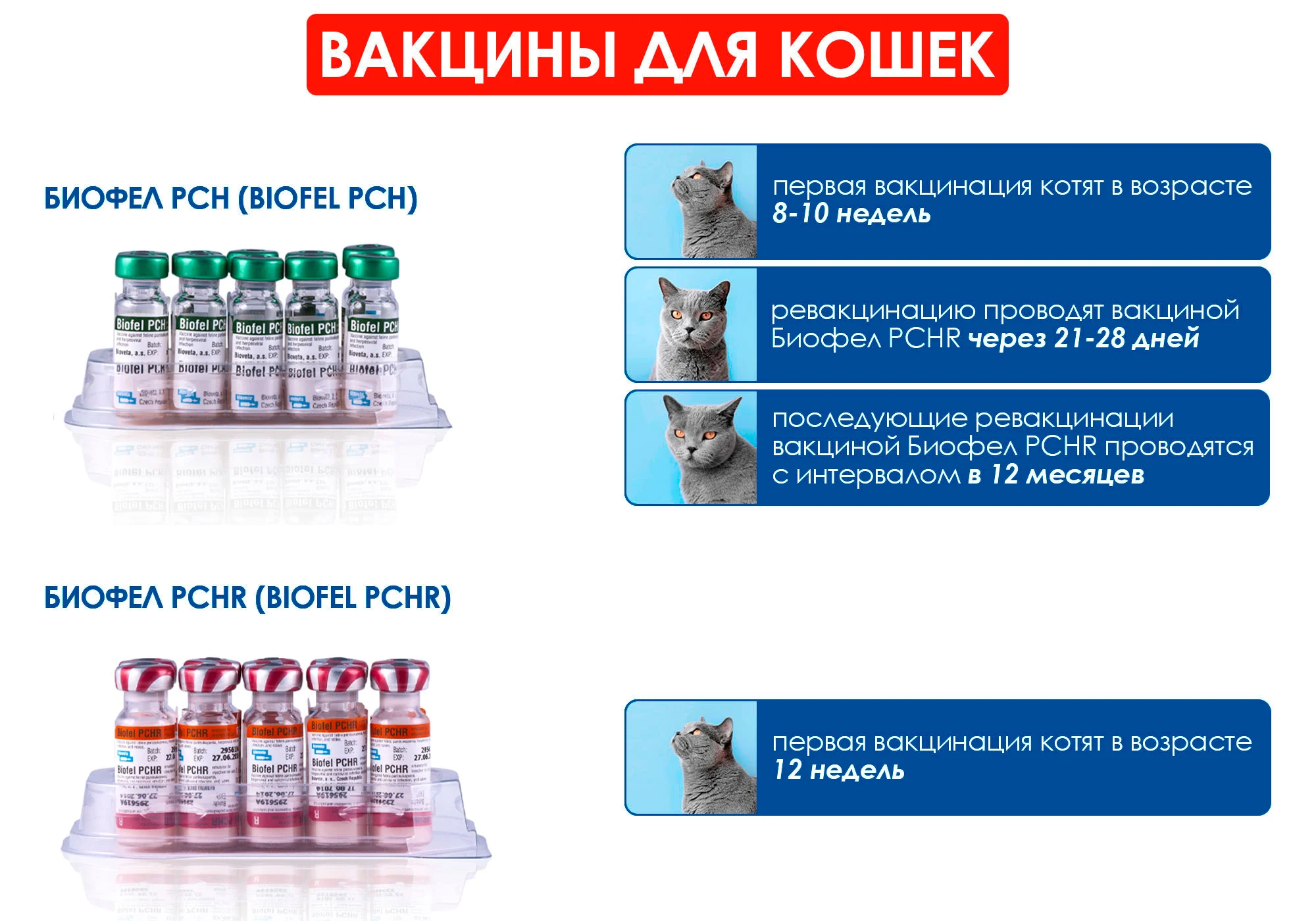Вакцина pchr для кошек
