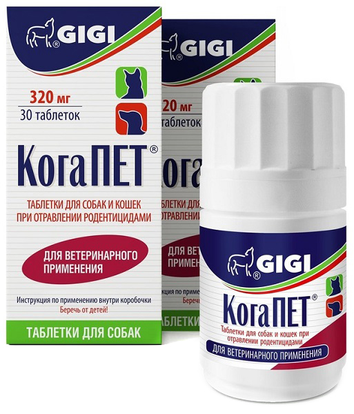 kogapet Когапет GiGi