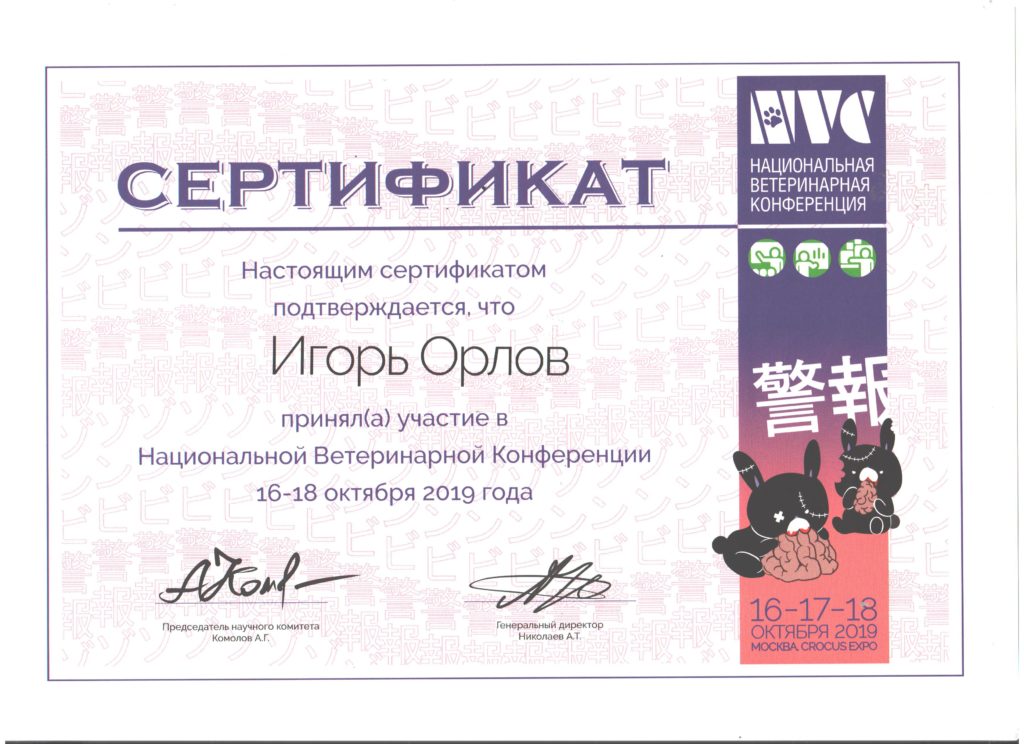 sertifikat-orlova-i-v-nvc-2019 Орлов Игорь Владимирович