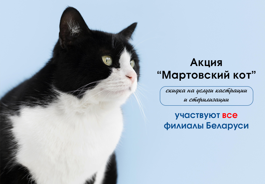 Акция Мартовский кот