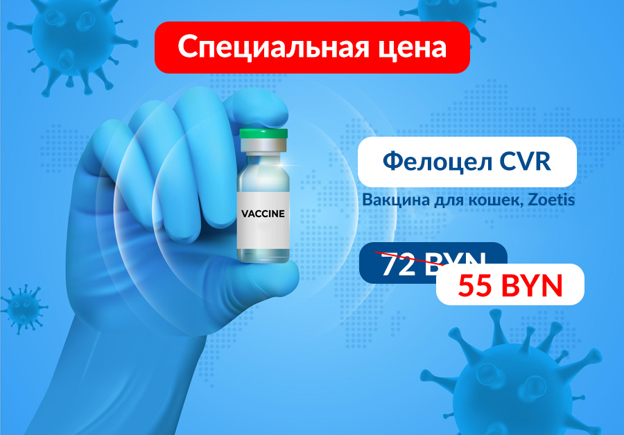Фелоцел специальная цена