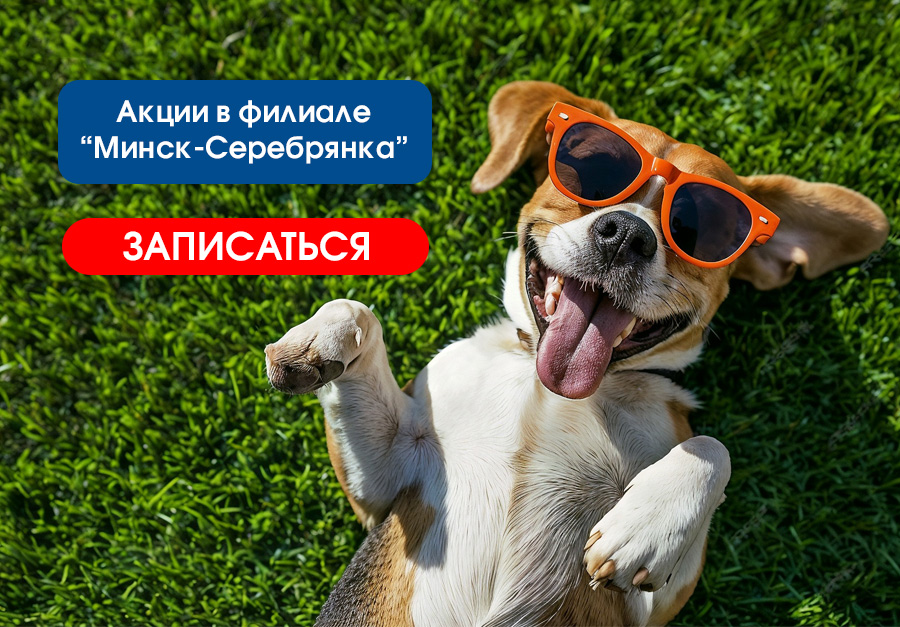 Скидки сентября Минск-Серебрянка