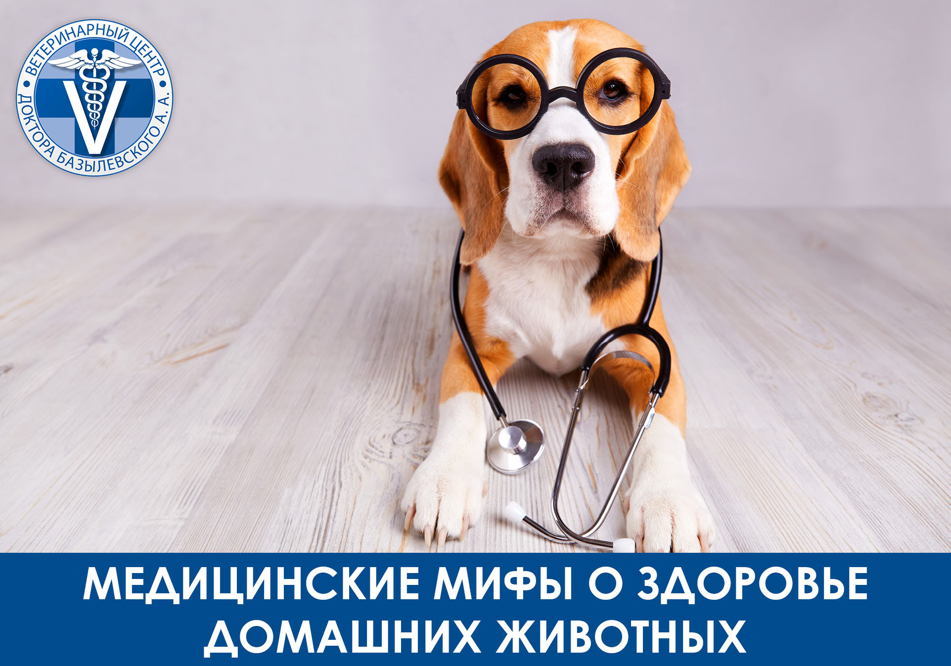 медицинские мифы о здоровье животных