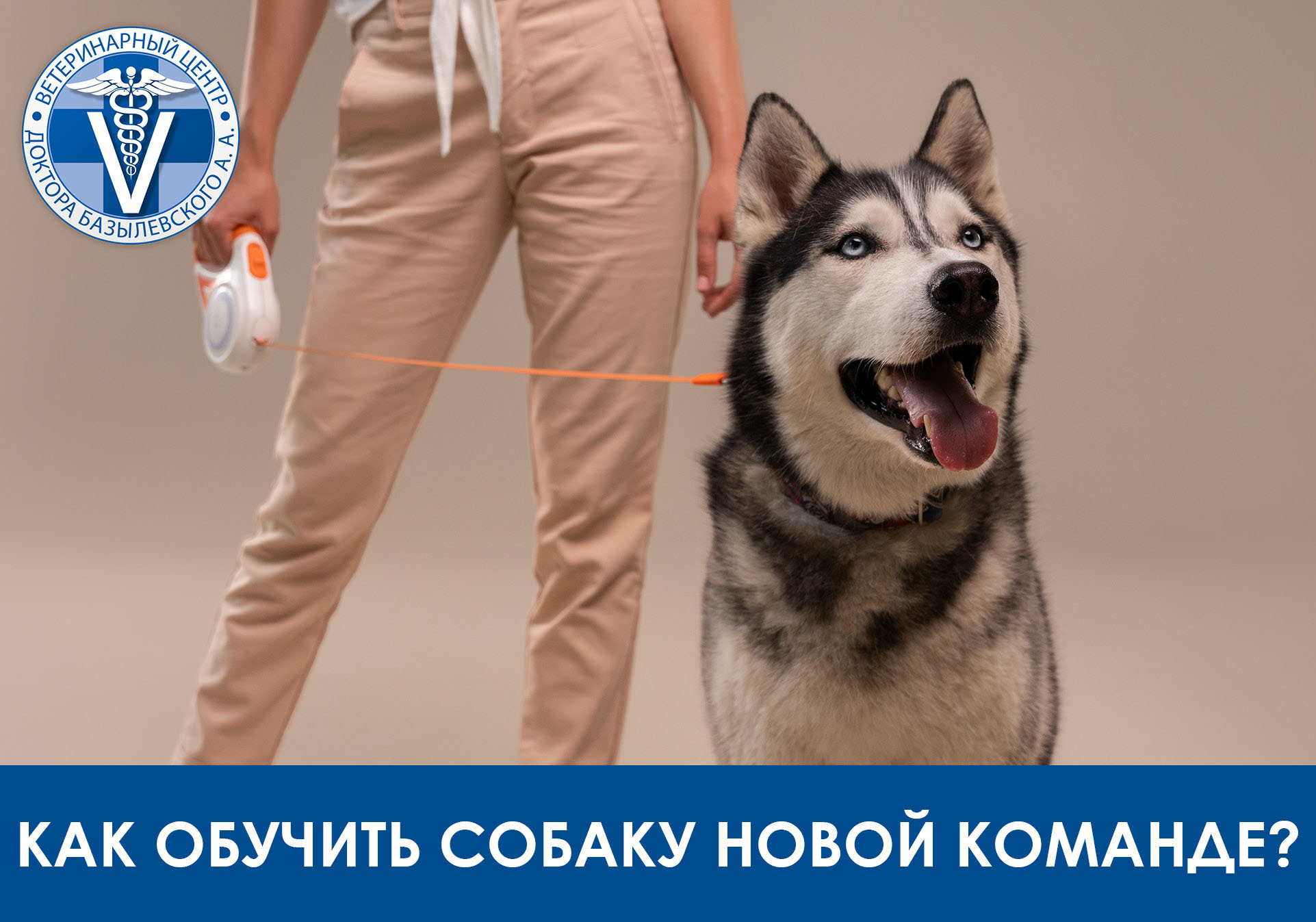 как обучить собаку новой комнаде