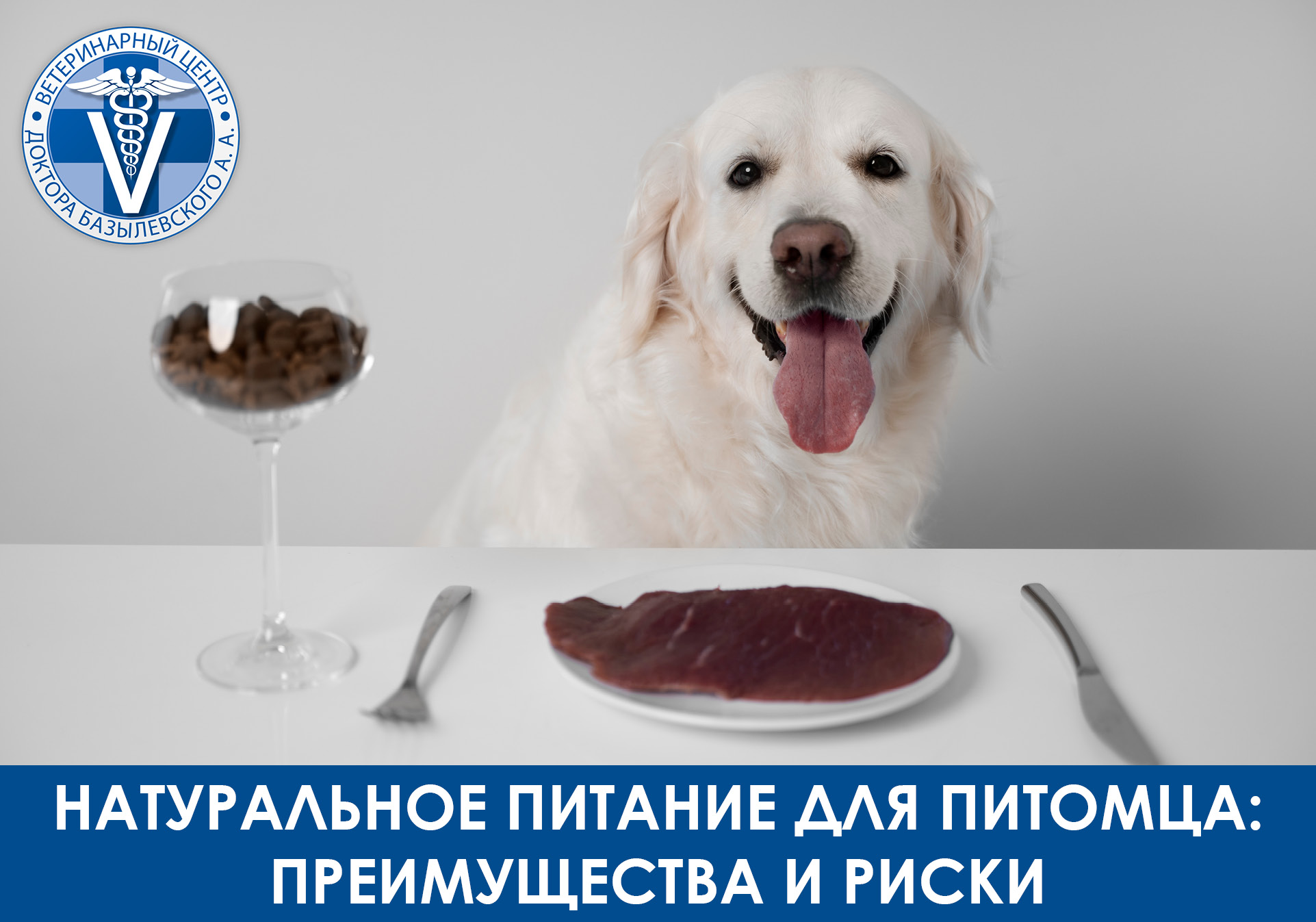 преимущества и риски сырого питания