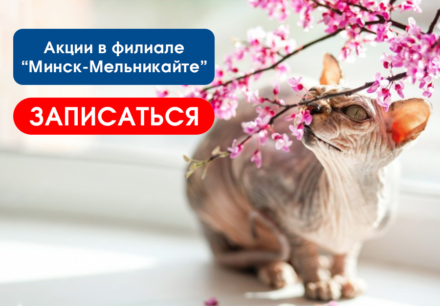 Акции Мельникайте апрель