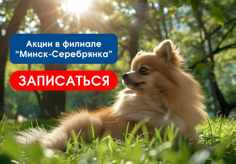 Акции Серебрянка апрель