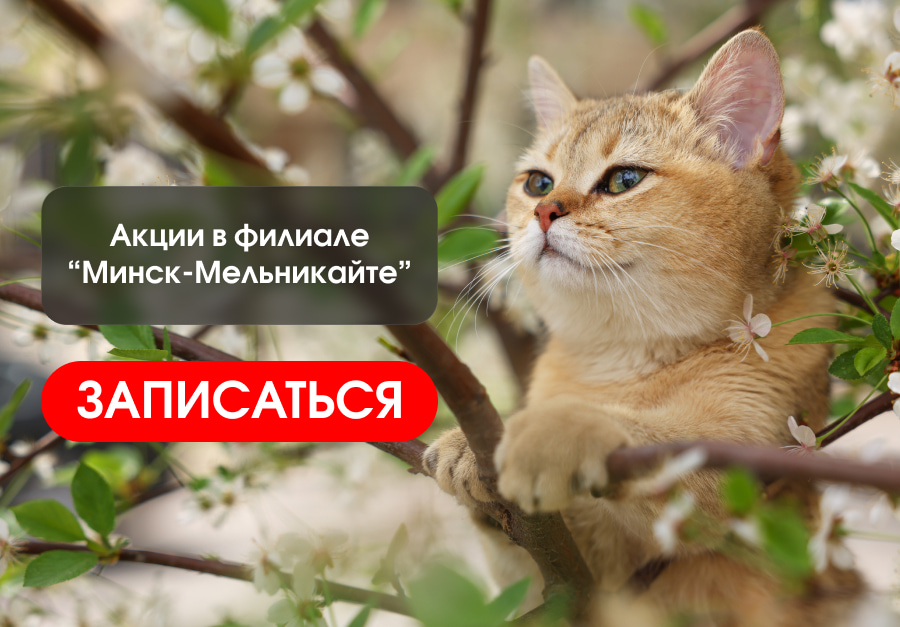 Мельникайте акции июль