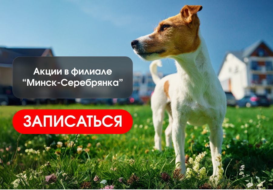 Серебрянка акции июль