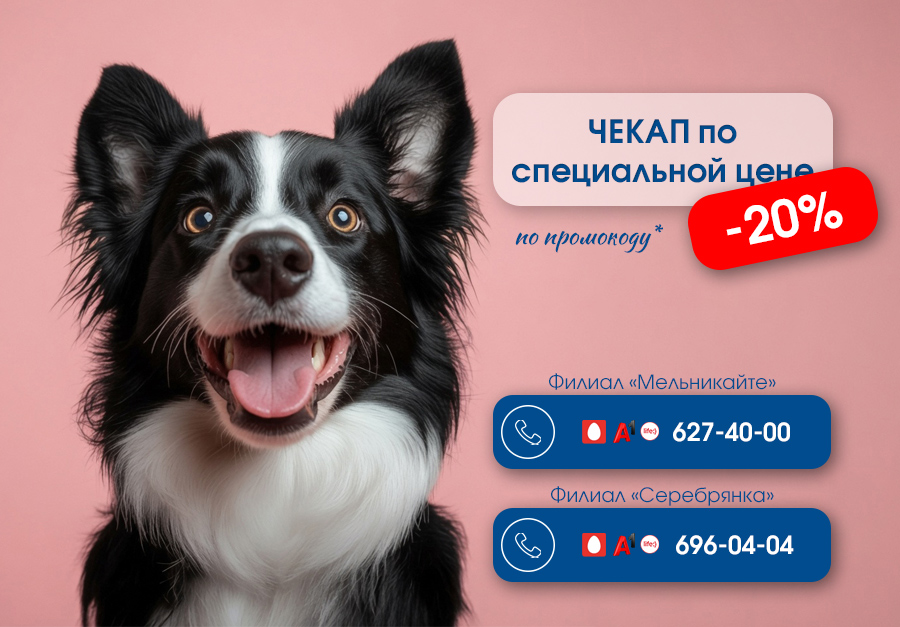 chekap-iyul Скидка 20% на профилактический чекап: позаботьтесь о здоровье питомца