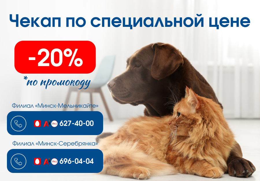 Чекап Минск сентябрь