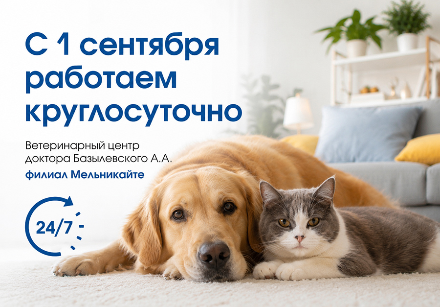 Мельникайте круглосуточно
