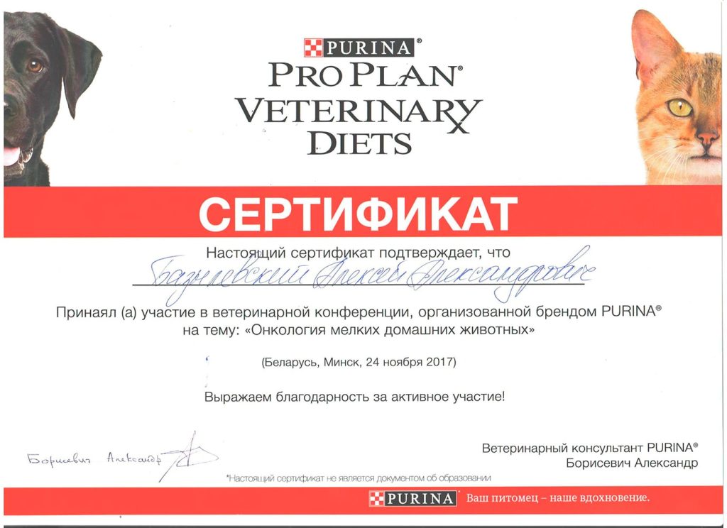 sertifikat-bazylevskogo-a-a-onkologiya-melkih-domashnih-zhivotnyh-2017-1024x744 Базылевский Алексей Александрович