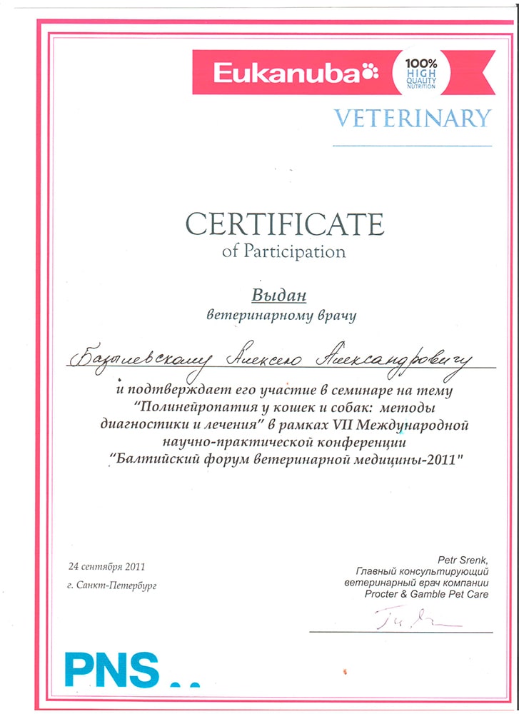 sertifikat-bazylevskogo-a-a-polinejropatiya-metody-diagnostiki-i-lecheniya-2011 Базылевский Алексей Александрович