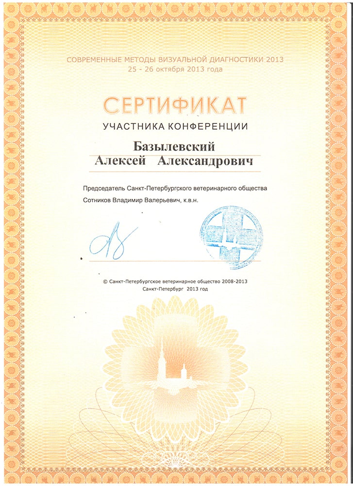 sertifikat-bazylevskogo-a-a-sovremennye-metody-vizualnoj-diagnostiki-2013 Базылевский Алексей Александрович