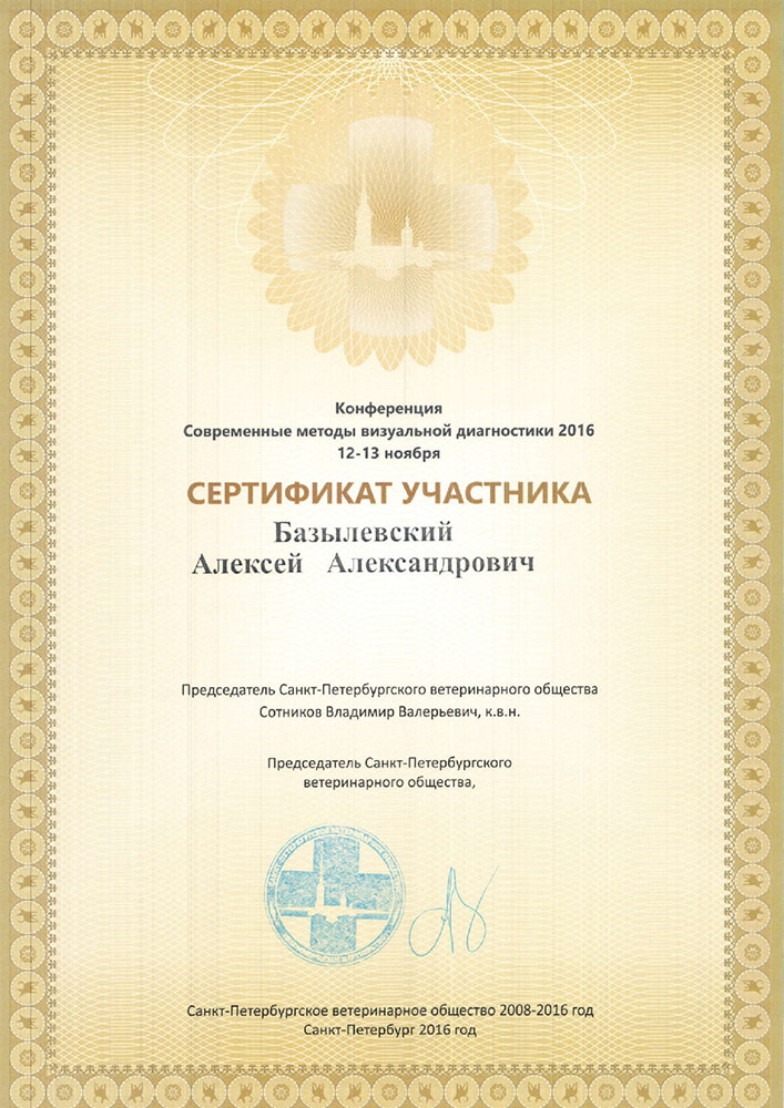 sertifikat-bazylevskogo-a-a-sovremennye-metody-vizualnoj-diagnostiki-2016 Базылевский Алексей Александрович