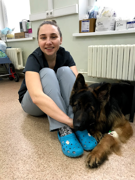 veterinarnyj-vrach-syatkvskaya-l-a-v-stacianare Послеоперационное стационарное содержание