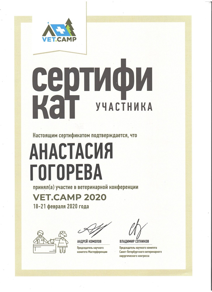 sertifikat-gogorevoj-a-n-vet-camp-2020 Гогорева Анастасия Николаевна