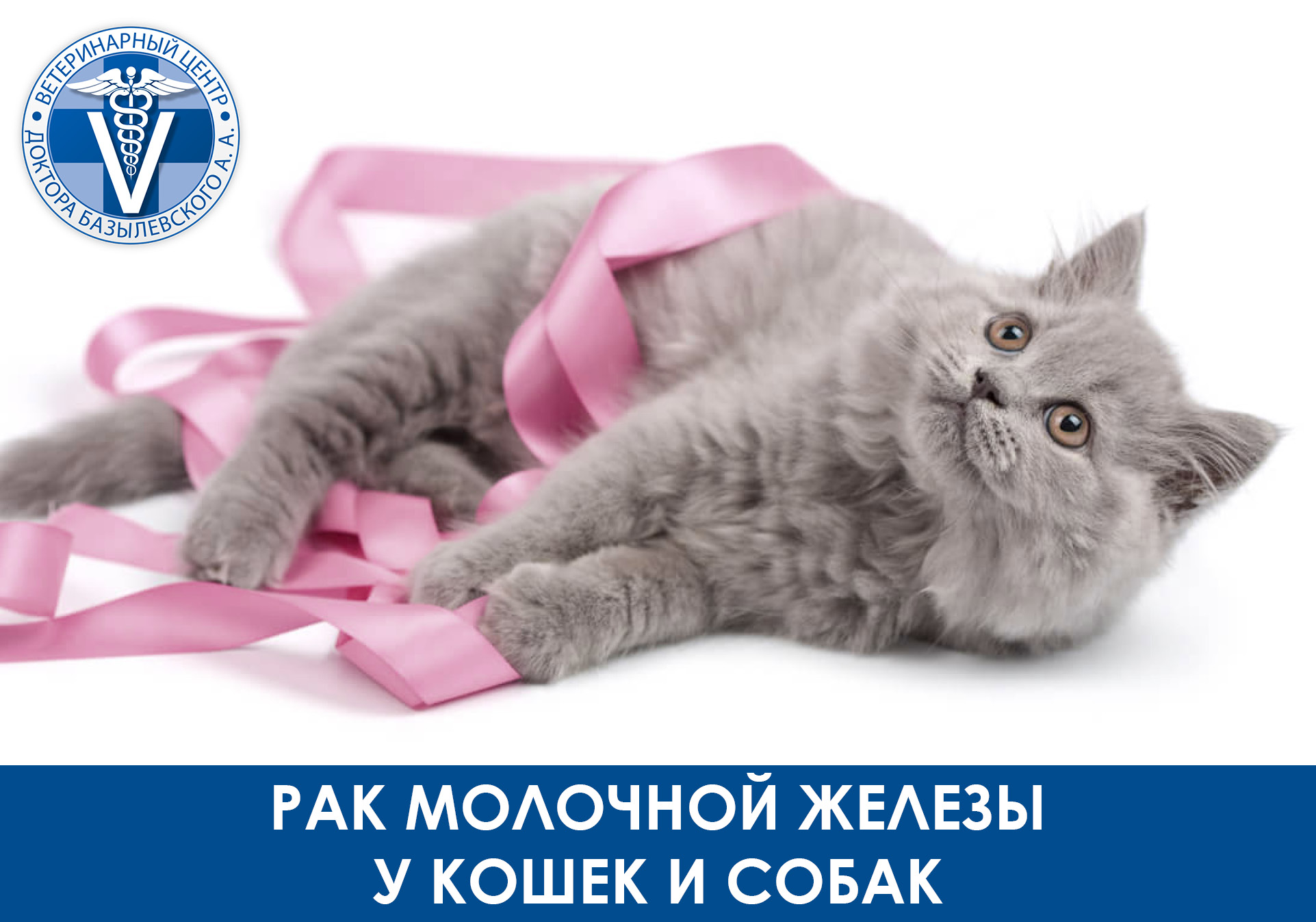 рак молочной жеелезы