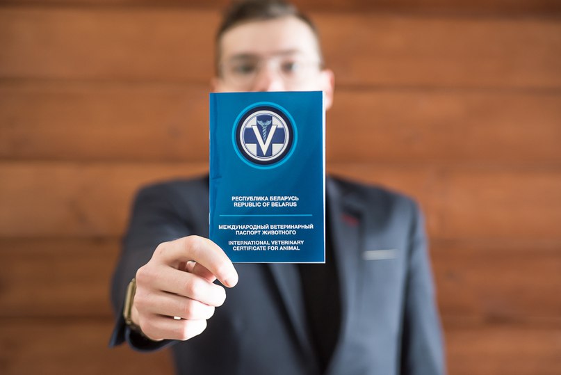 chelovek-s-veterinarnym-pasportom Как подготовиться к поездке за границу с питомцем?
